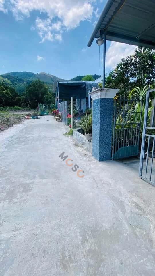 Bán đất Thôn Vĩnh Cát Huyện Diên Khánh, Khánh Hòa – giá 559 triệu — Hình 3