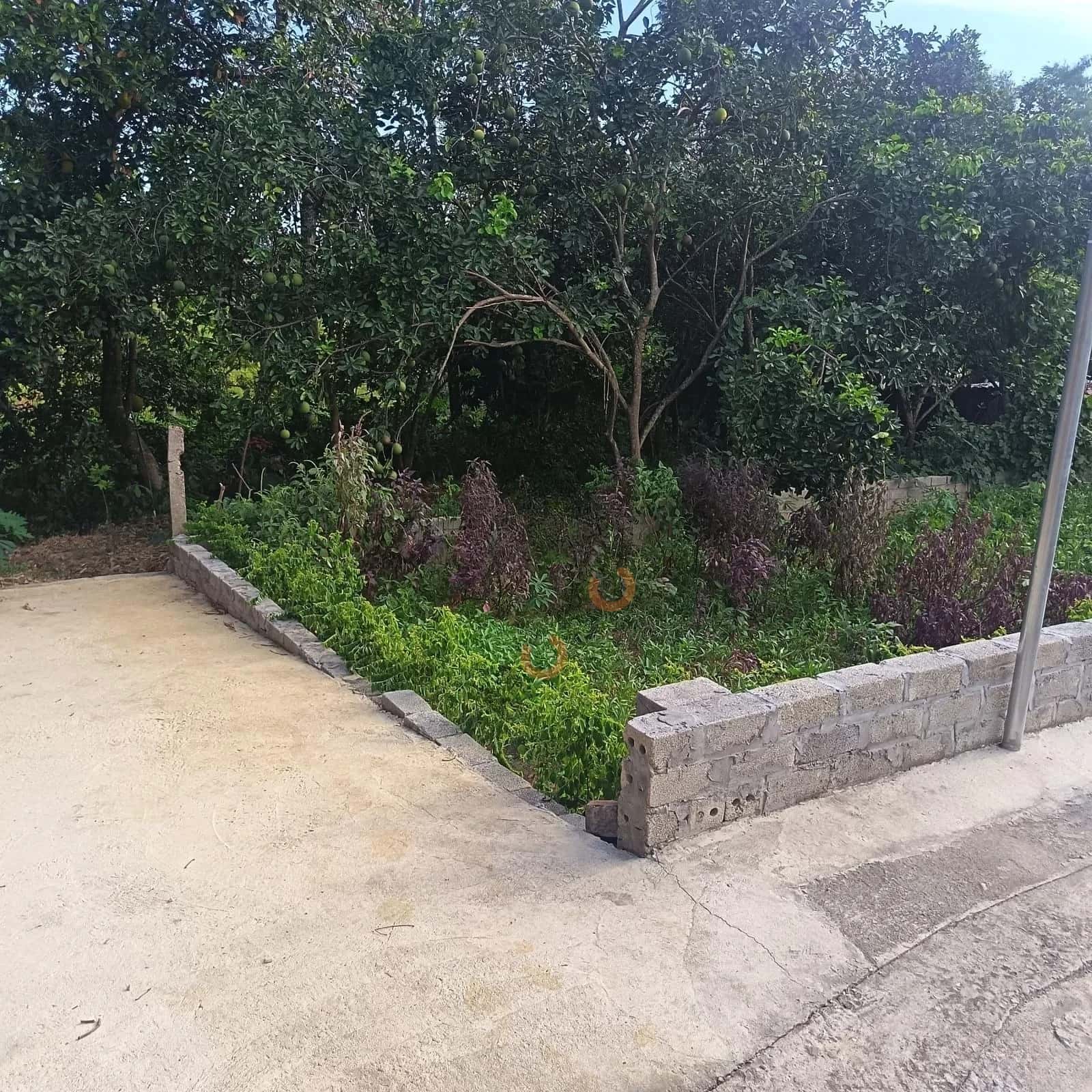 Bán đất Thôn Tam Cảnh Huyện Thạch Thất, TP. Hà Nội – giá 2.9 tỷ — Hình 2