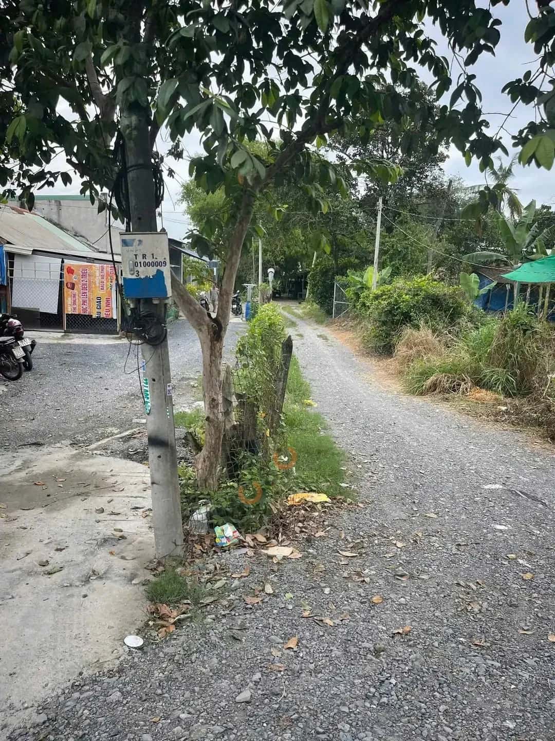 Hình ảnh nhà 3