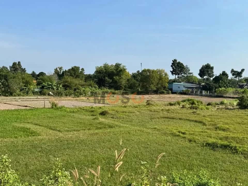 Hình ảnh nhà 2