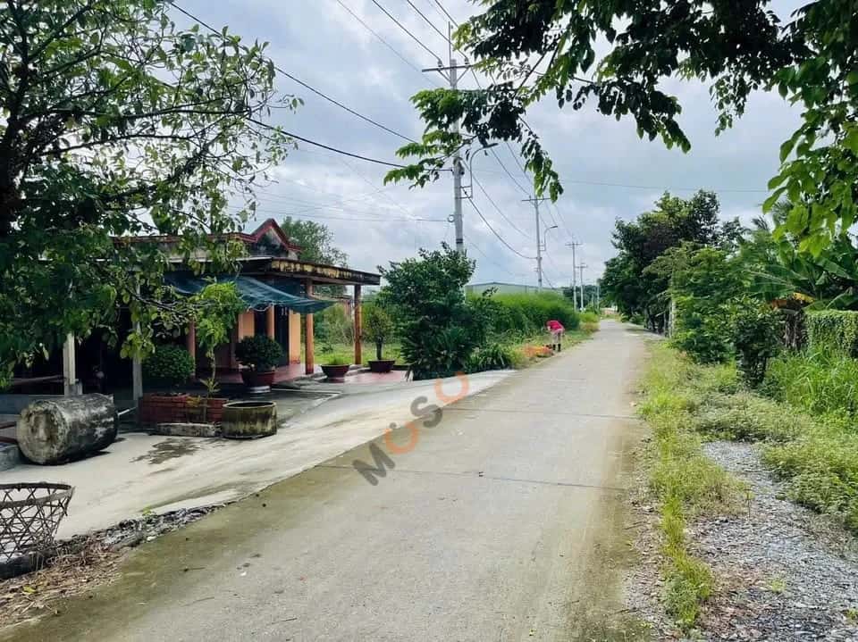 Bán đất Nguyễn Thị Tấm Huyện Củ Chi, TP.HCM – giá 1.6 tỷ — Hình 3