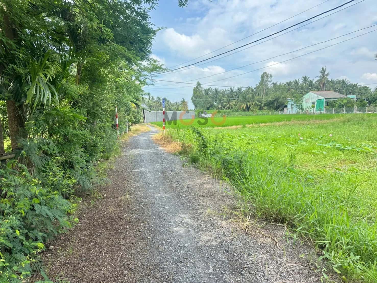 Bán đất Ấp Bình Nhựt Huyện Gò Công Tây, Tiền Giang – giá 550 triệu — Hình 3 Bán đất Ấp Bình Nhựt Huyện Gò Công Tây, Tiền Giang – giá 550 triệu — Hình 3