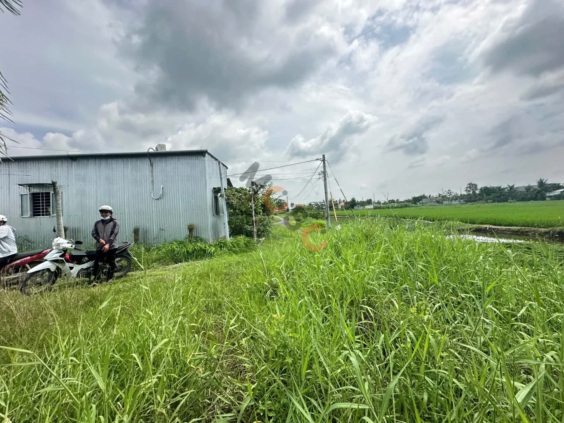 Bán đất ấp Bình Nhựt Huyện Gò Công Tây, Tiền Giang – giá 950 triệu — Hình 3