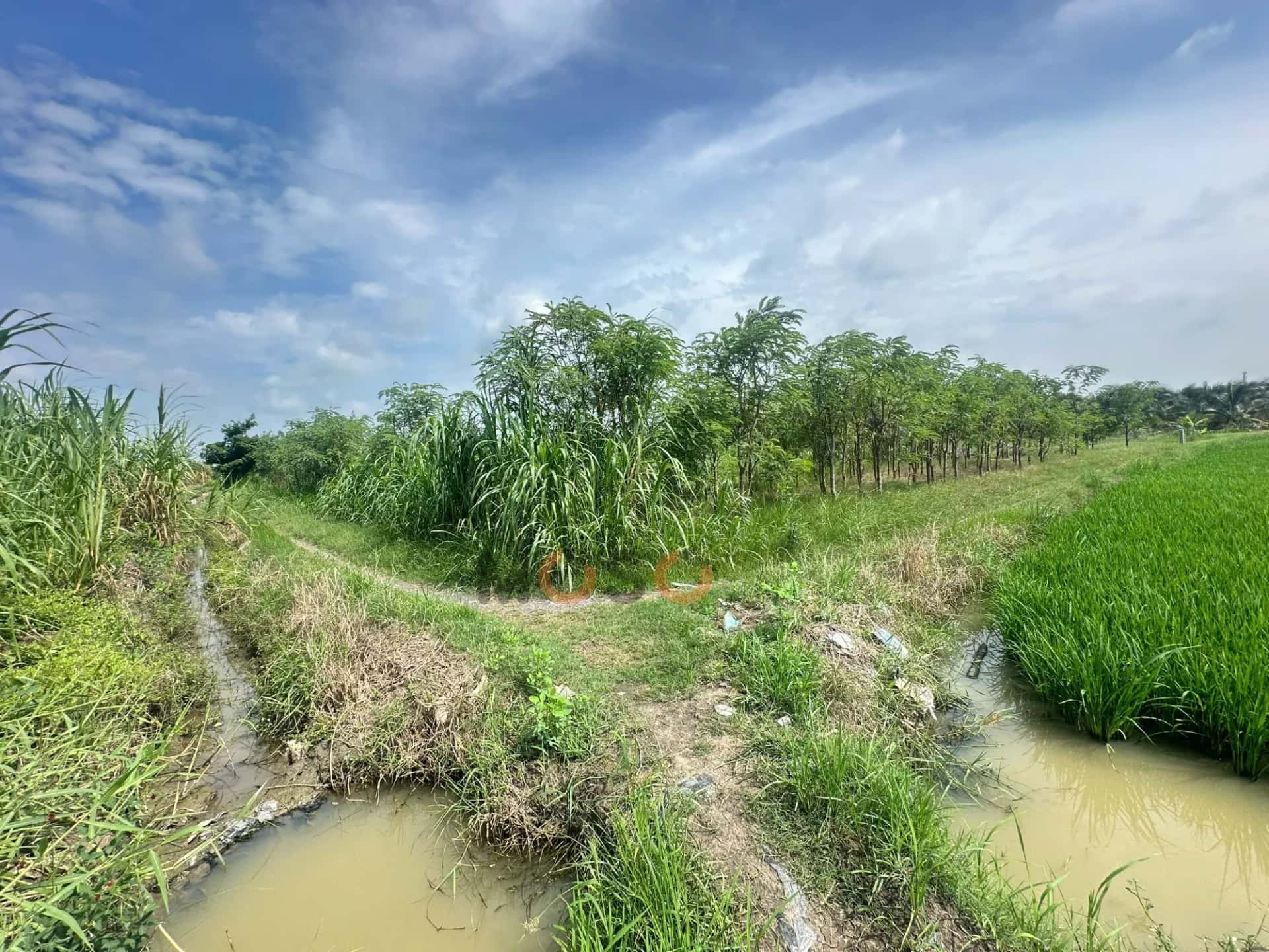 Bán đất khu phố Long Phước Thành phố Gò Công, Tiền Giang – giá 870 triệu — Hình 3