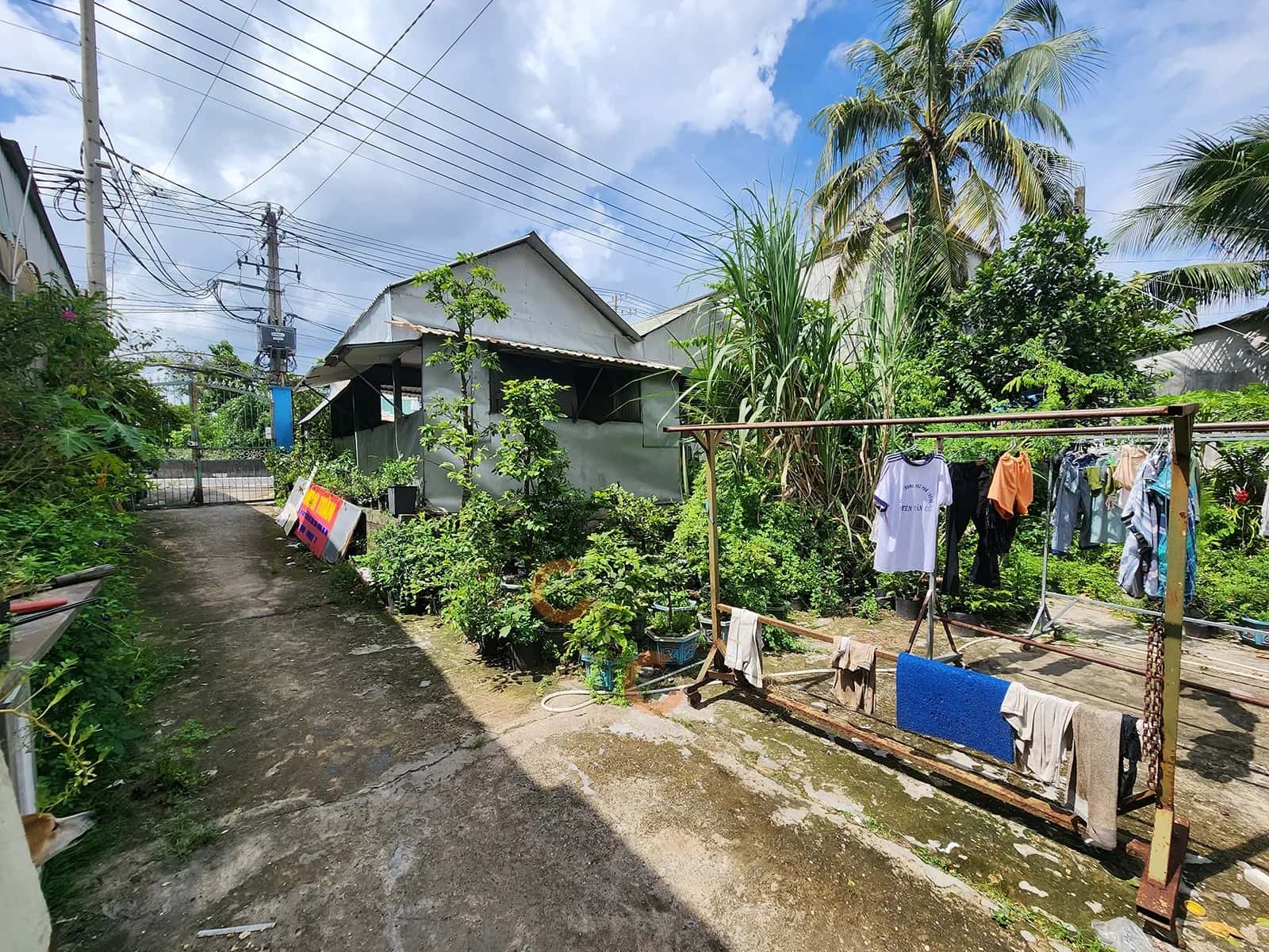 Hình ảnh nhà 3