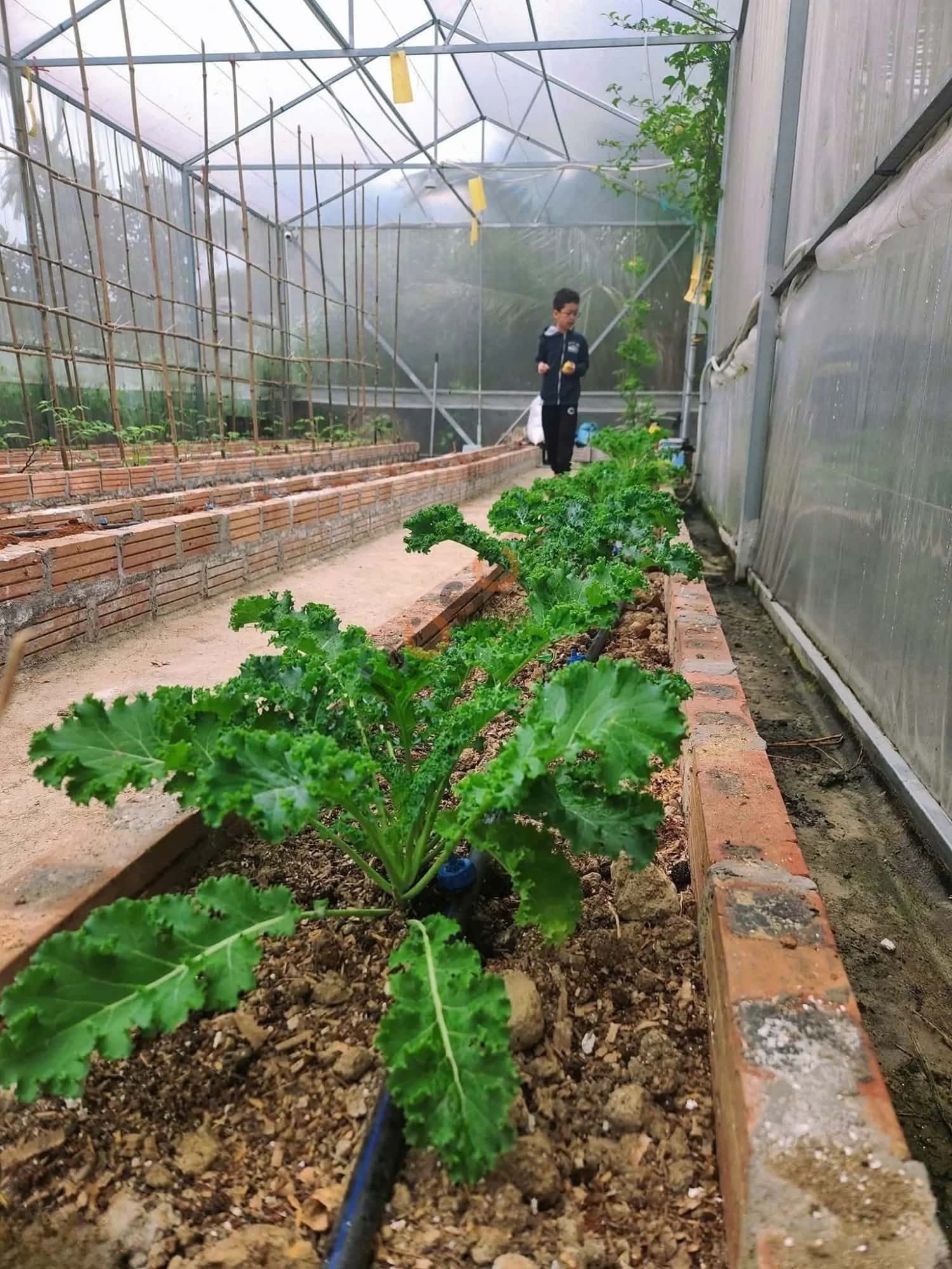 Bán đất thôn 1 Thành phố Thuỷ Nguyên, TP. Hải Phòng – giá 1.1 tỷ — Hình 3