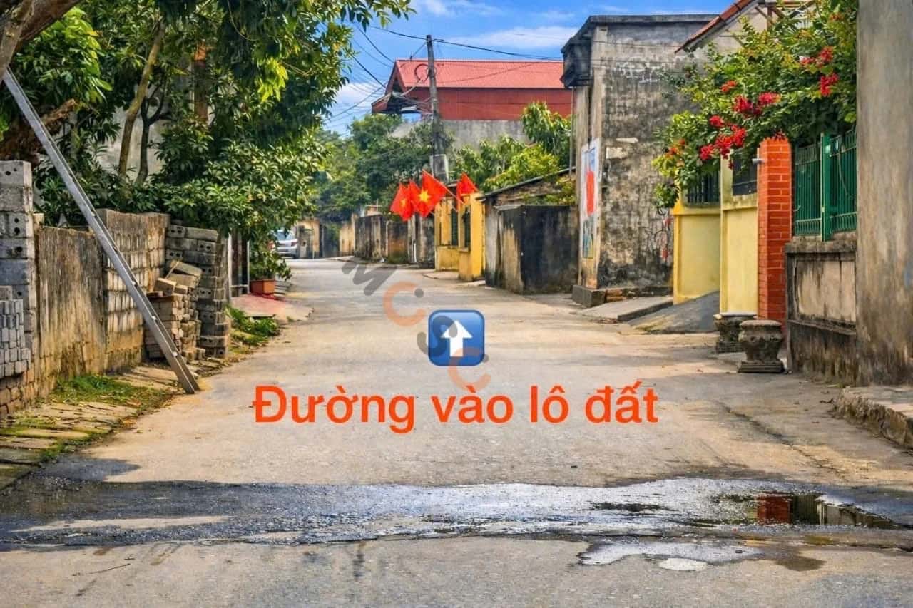 Hình ảnh nhà 3