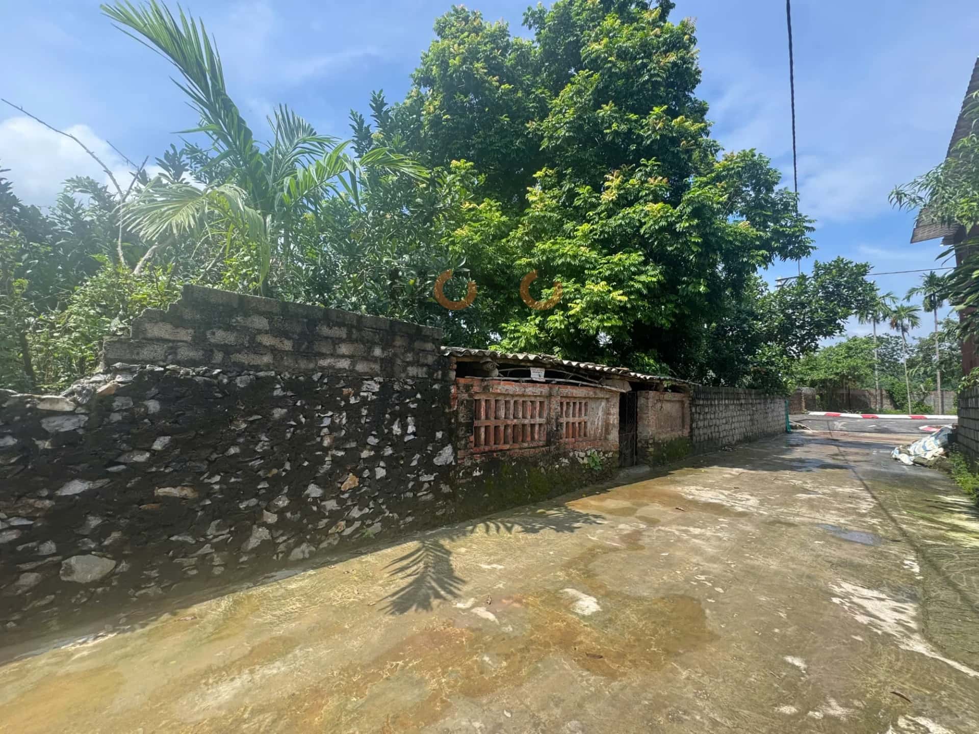 Hình ảnh nhà 3
