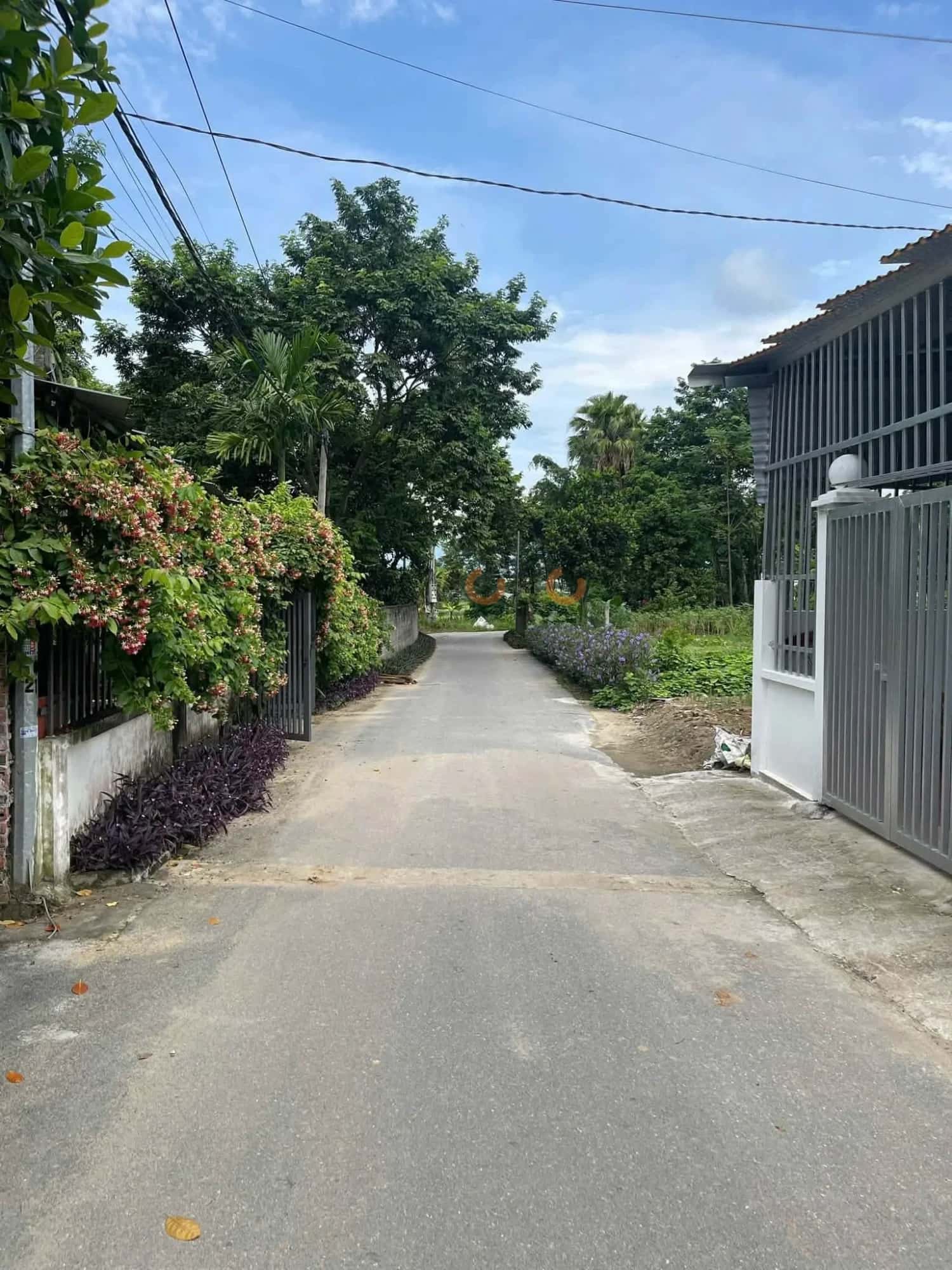 Bán đất Thôn Kiên Tràng Huyện Tam Đảo, Vĩnh Phúc – giá 799 triệu — Hình 2