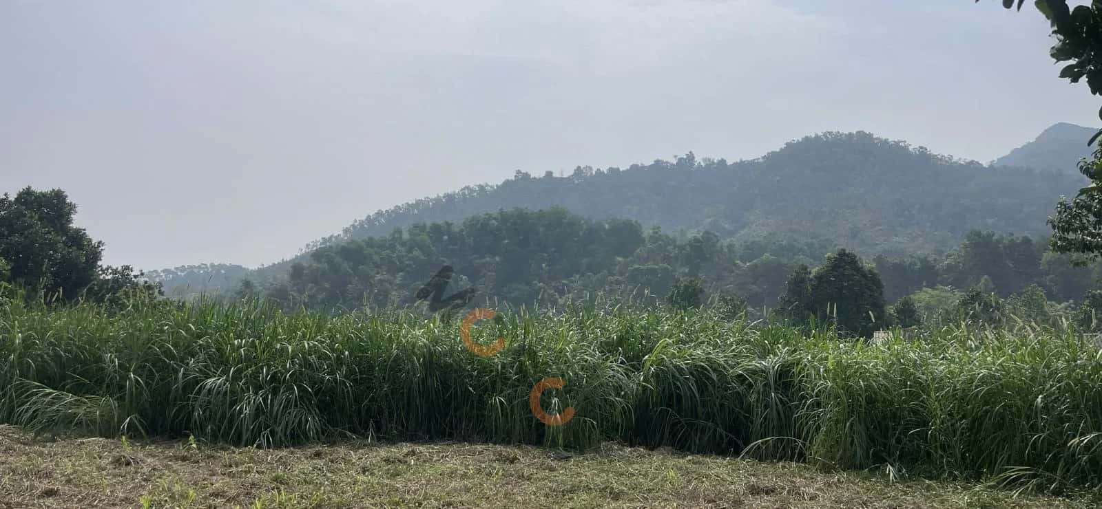 Bán đất đường Tỉnh Lộ 87A Huyện Ba Vì, TP. Hà Nội – giá 7 tỷ — Hình 2