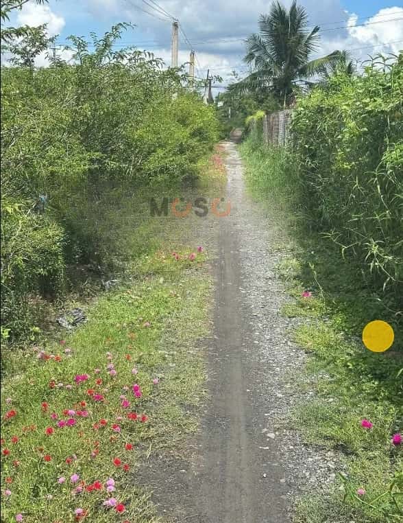 Bán đất hẻm đường ĐT 873 Thành phố Gò Công, Tiền Giang – giá 2.3 tỷ — Hình 3 Bán đất hẻm đường ĐT 873 Thành phố Gò Công, Tiền Giang – giá 2.3 tỷ — Hình 3
