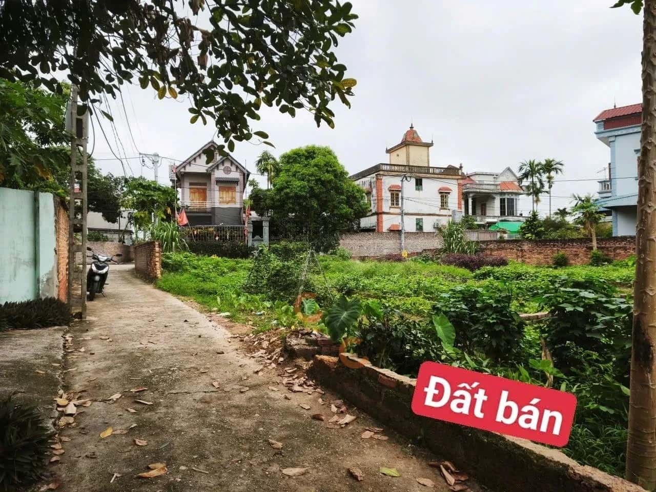 Bán đất Vành Đai 4, Thôn Phú Hạ Huyện Sóc Sơn, TP. Hà Nội – giá 1.4 tỷ — Hình 2 Bán đất Vành Đai 4, Thôn Phú Hạ Huyện Sóc Sơn, TP. Hà Nội – giá 1.4 tỷ — Hình 2