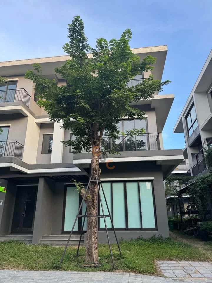 Bán nhà mặt tiền Eco Central Park, đường Nguyễn Sỹ Sách Thành phố Vinh, Nghệ An – 4 phòng ngủ, giá 8.6 tỷ — Hình 2