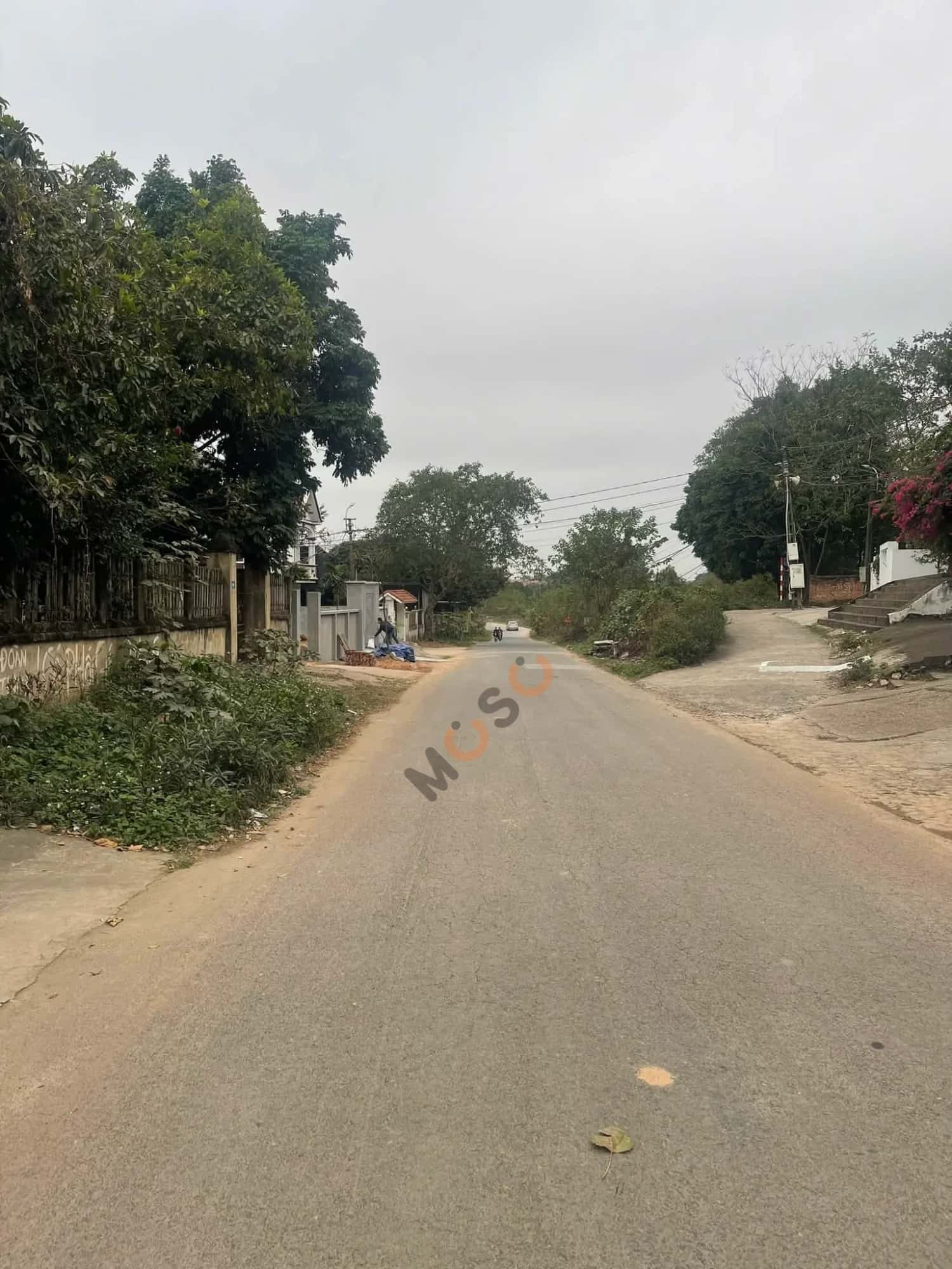 Bán đất Thôn Phú Ninh Huyện Tam Dương, Vĩnh Phúc – giá 2.5 tỷ — Hình 3