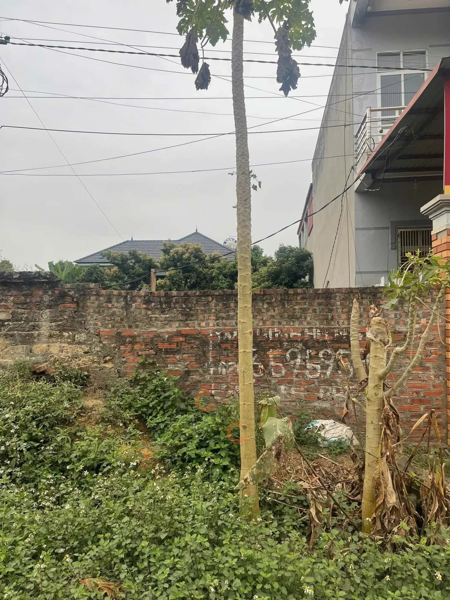Bán đất Thôn Phú Ninh Huyện Tam Dương, Vĩnh Phúc – giá 2.5 tỷ — Hình 2