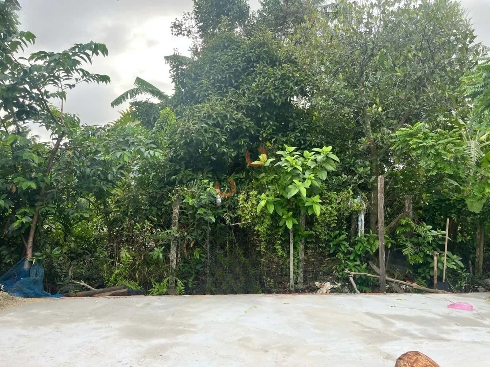 Hình ảnh nhà 2