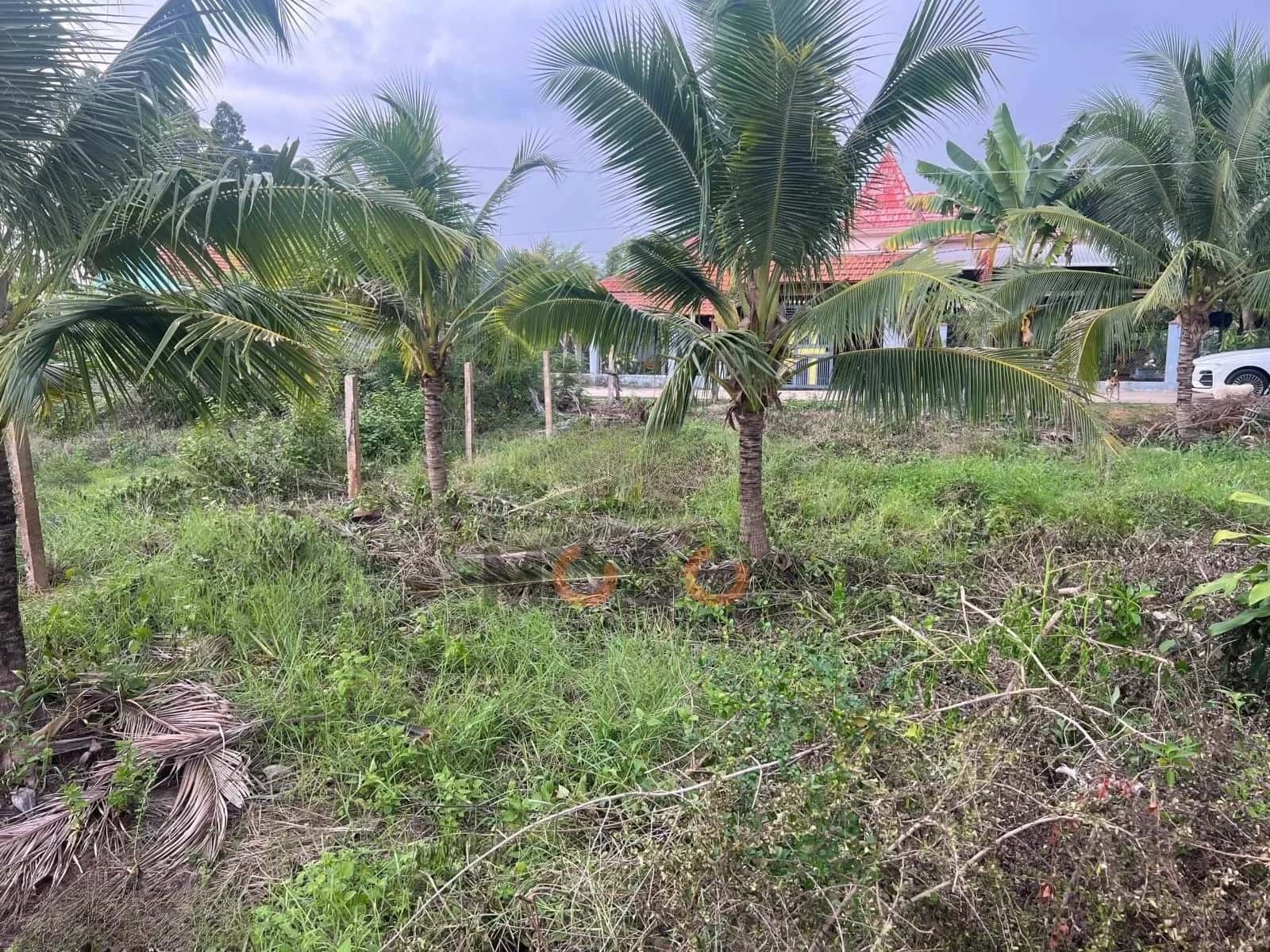 Bán đất Tỉnh Lộ 7, Thôn 3 Thị xã Ninh Hòa, Khánh Hòa – giá 530 triệu