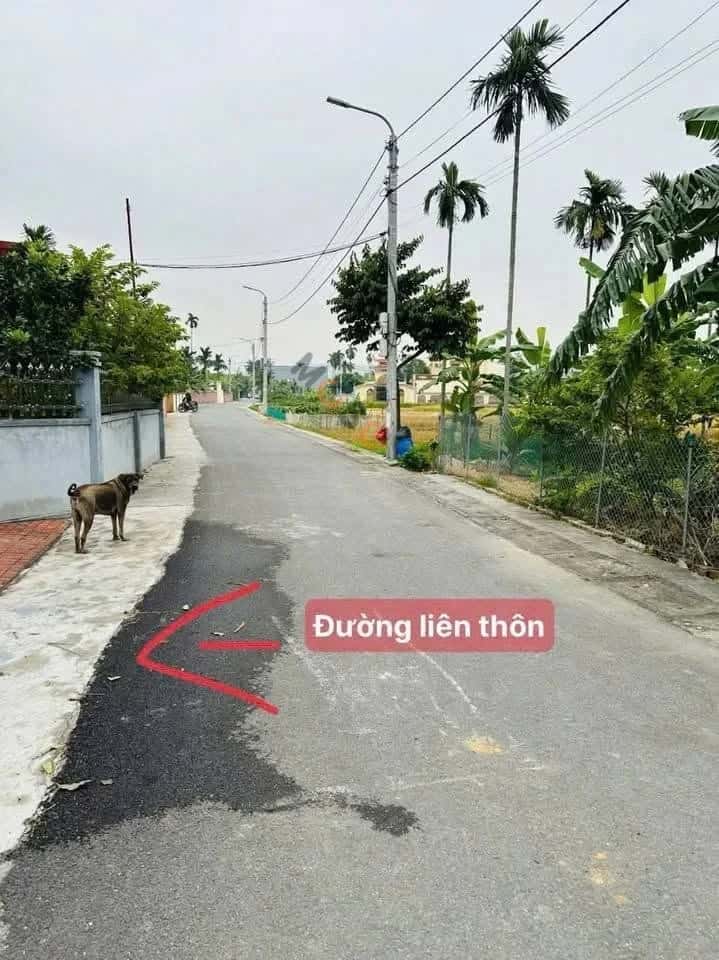 Bán đất TDP 6 Thành phố Thuỷ Nguyên, TP. Hải Phòng – giá 790 triệu — Hình 3