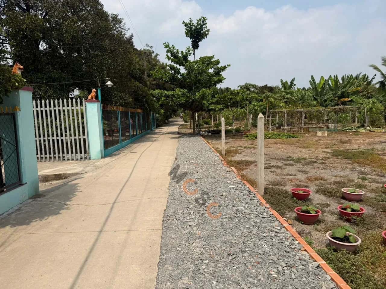 Hình ảnh nhà 3