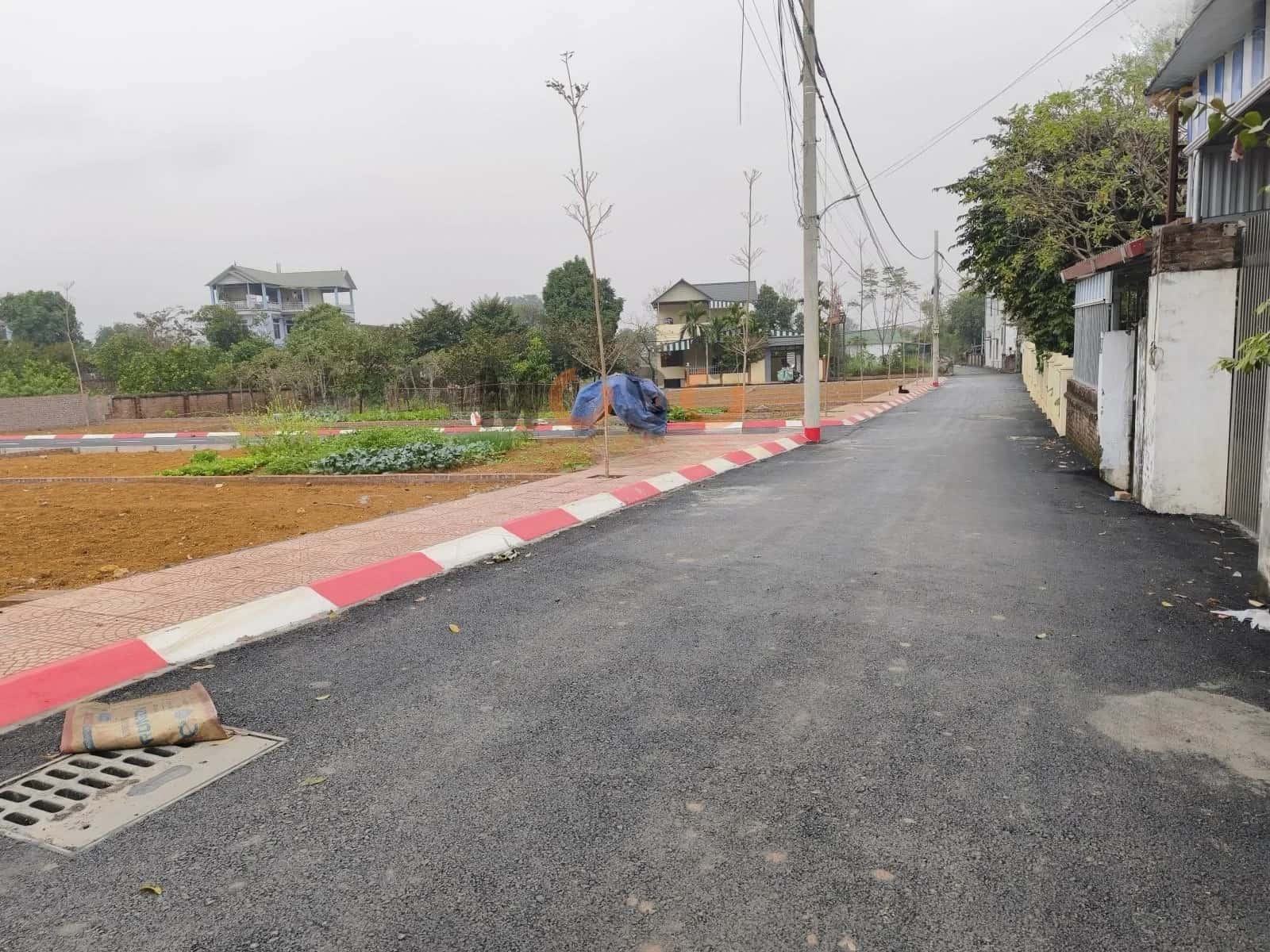 Bán đất đường Nông Lâm  Huyện Quốc Oai, TP. Hà Nội – giá 3 tỷ — Hình 2