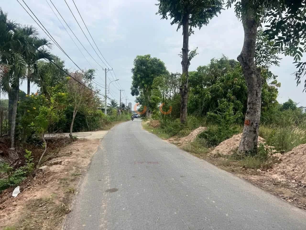 Hình ảnh nhà 3
