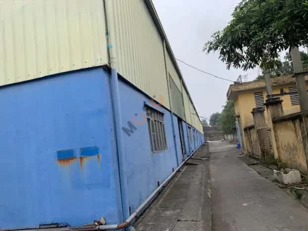 Cho thuê kho, nhà xưởng Tỉnh lộ 427 Thường Tín, Hà Nội – giá 340 triệu — Hình 3