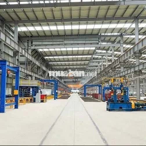 Cho thuê kho, nhà xưởng Bến Lức, Long An – giá 93.5 triệu — Hình 2