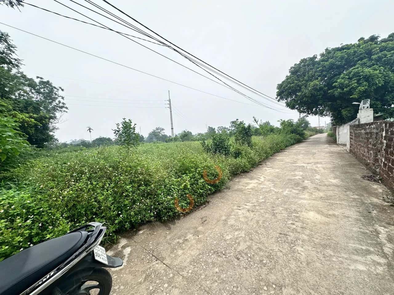 Bán đất hẻm đường ĐT 429, Thôn Tân Hội  Huyện Chương Mỹ, TP. Hà Nội – giá 6.6 tỷ — Hình 3