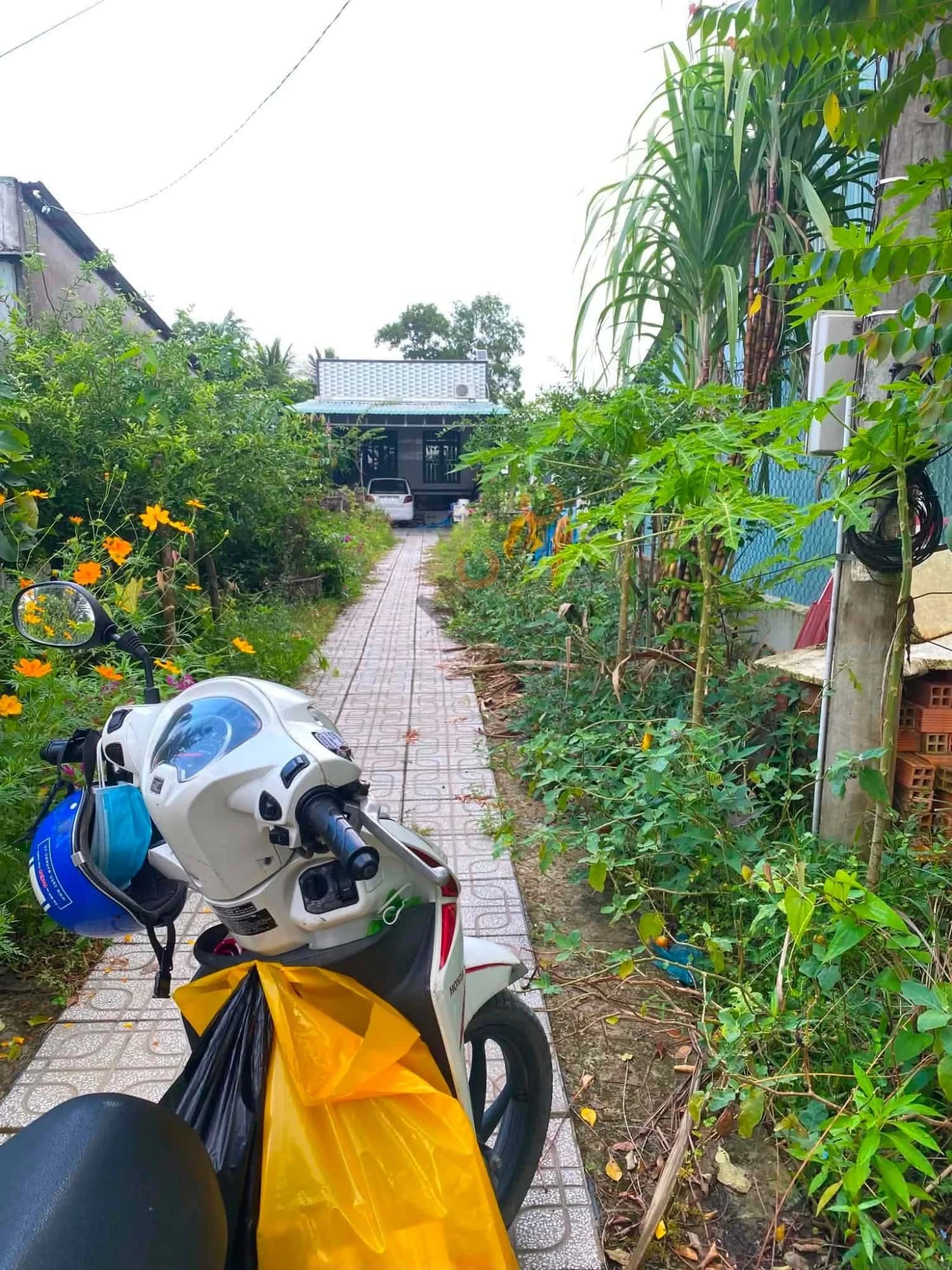 Bán nhà hẻm Khu Vực 3 Thành phố Vị Thanh, Hậu Giang – 2 phòng ngủ, giá 850 triệu — Hình 2
