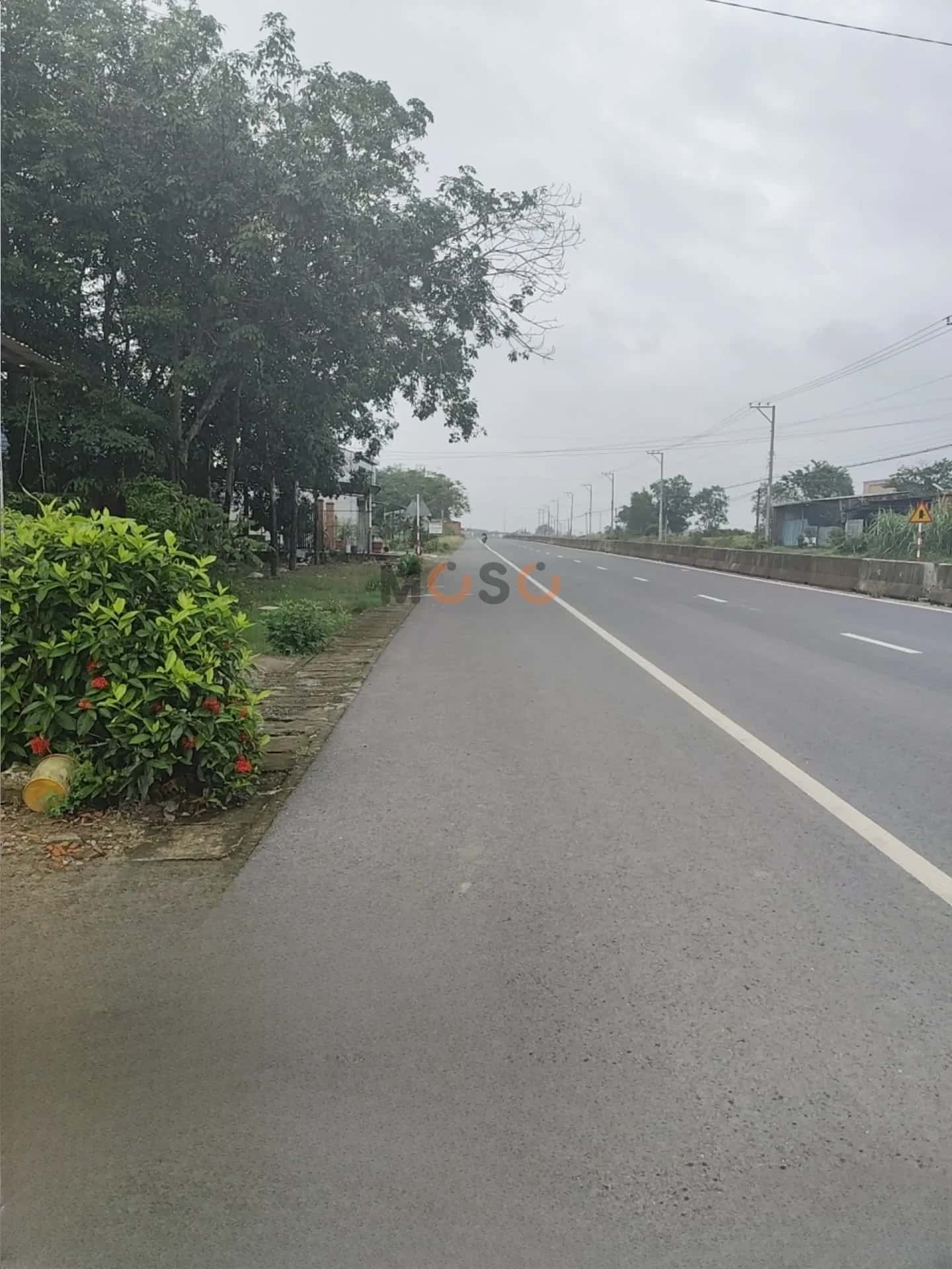 Bán đất đường TL787B Thị xã Trảng Bàng, Tây Ninh – giá 2 tỷ — Hình 2