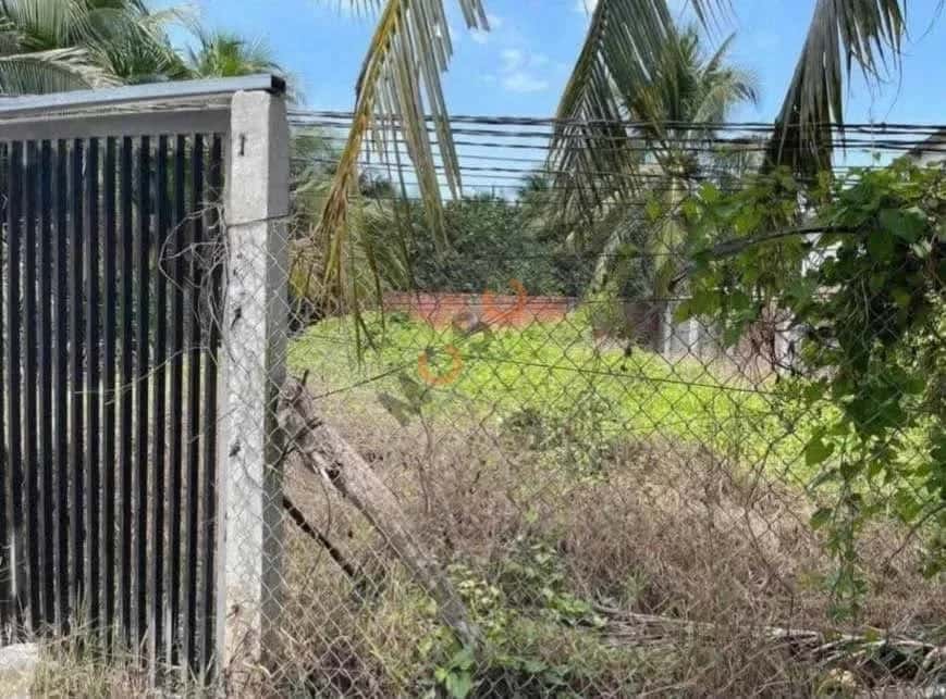 Bán đất hẻm đường Quốc Lộ 60 Huyện Châu Thành, Bến Tre – giá 500 triệu — Hình 2 Bán đất hẻm đường Quốc Lộ 60 Huyện Châu Thành, Bến Tre – giá 500 triệu — Hình 2