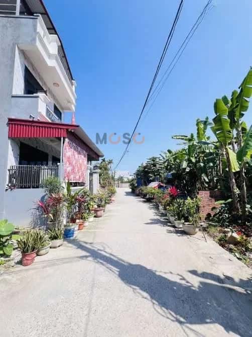 Bán đất Hoa Động Thành phố Thuỷ Nguyên, TP. Hải Phòng – giá 1.6 tỷ — Hình 3 Bán đất Hoa Động Thành phố Thuỷ Nguyên, TP. Hải Phòng – giá 1.6 tỷ — Hình 3