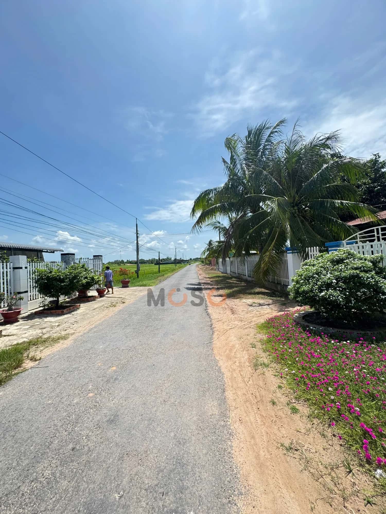 Bán đất Kênh TN. 21, Ấp Cầu Trường Huyện Châu Thành, Tây Ninh – giá 900 triệu — Hình 3