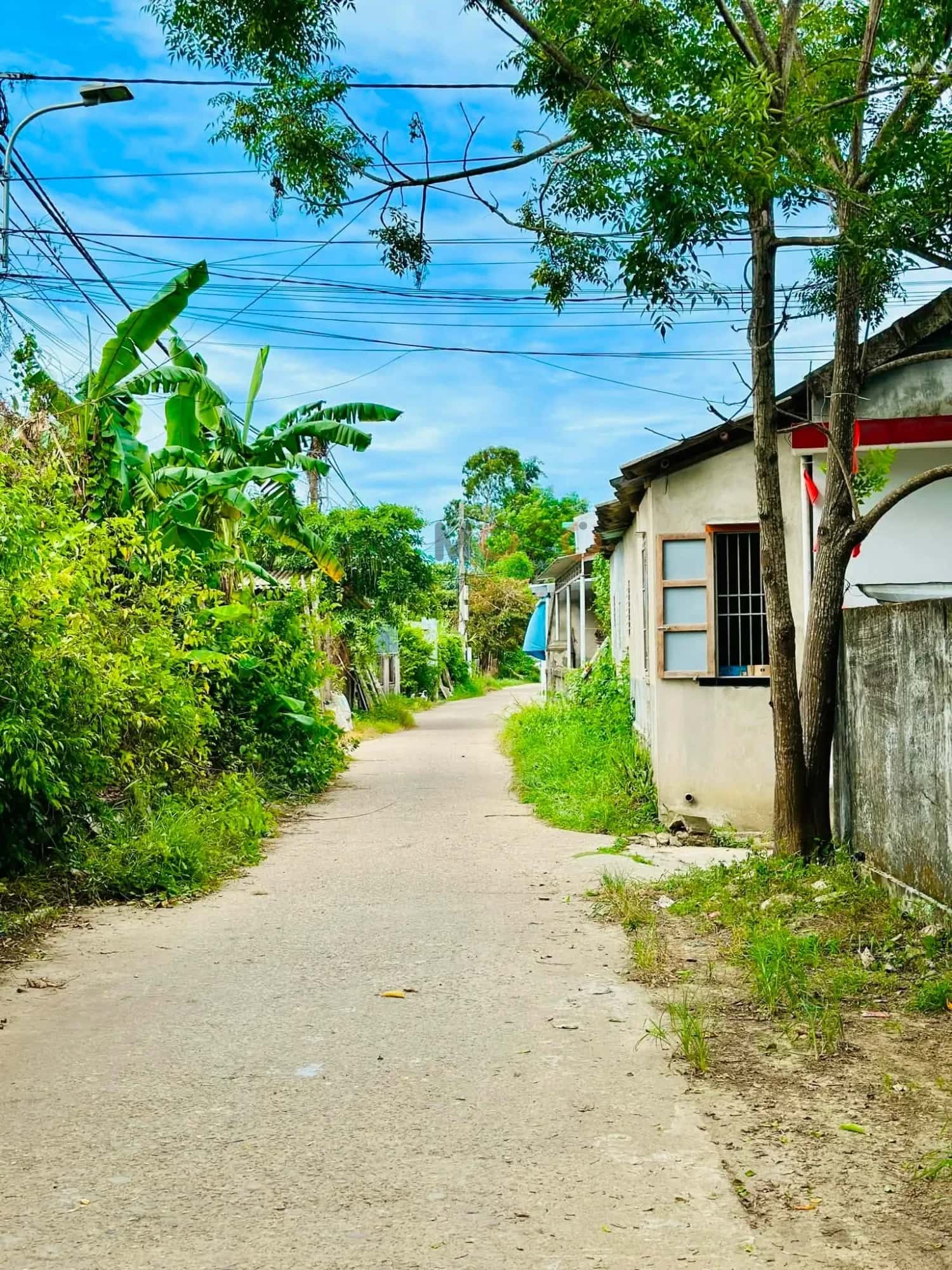 Bán đất Thôn Phò An  Quận Thuận Hóa, TP. Huế – giá 3.5 tỷ — Hình 3