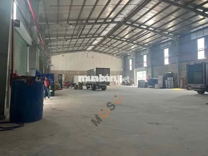 Cho thuê kho, nhà xưởng Bến Lức, Long An – giá 170 triệu — Hình 3
