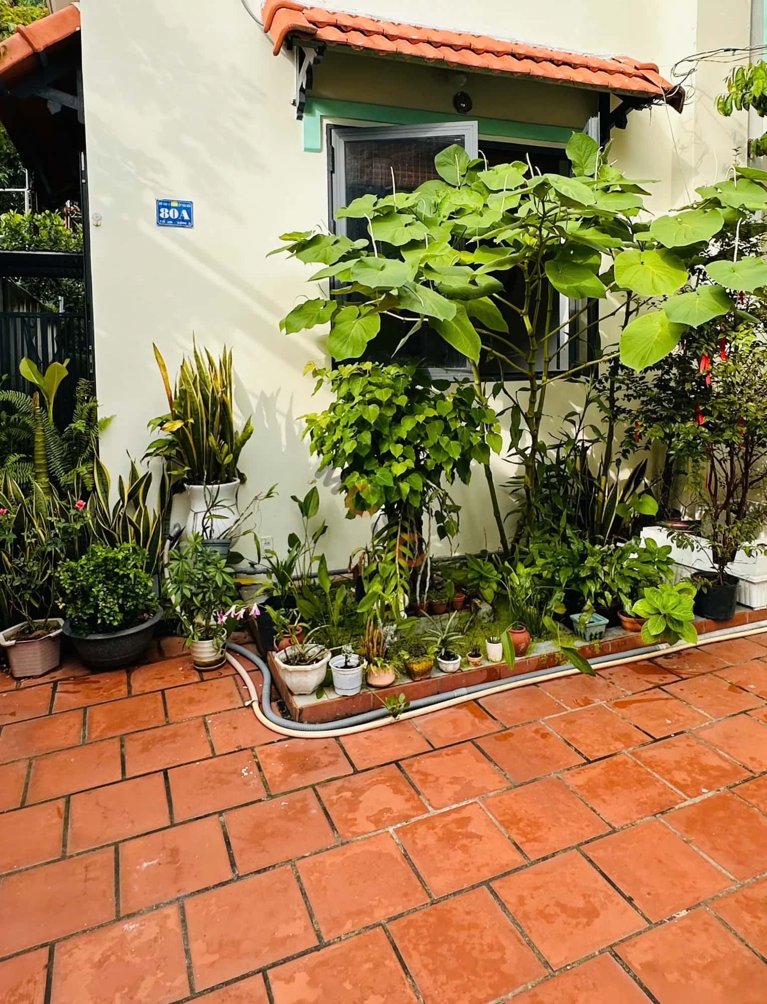 Bán nhà hẻm ấp Thái Hòa Huyện Trảng Bom, Đồng Nai – 3 phòng ngủ, giá 2.3 tỷ — Hình 2 Bán nhà hẻm ấp Thái Hòa Huyện Trảng Bom, Đồng Nai – 3 phòng ngủ, giá 2.3 tỷ — Hình 2