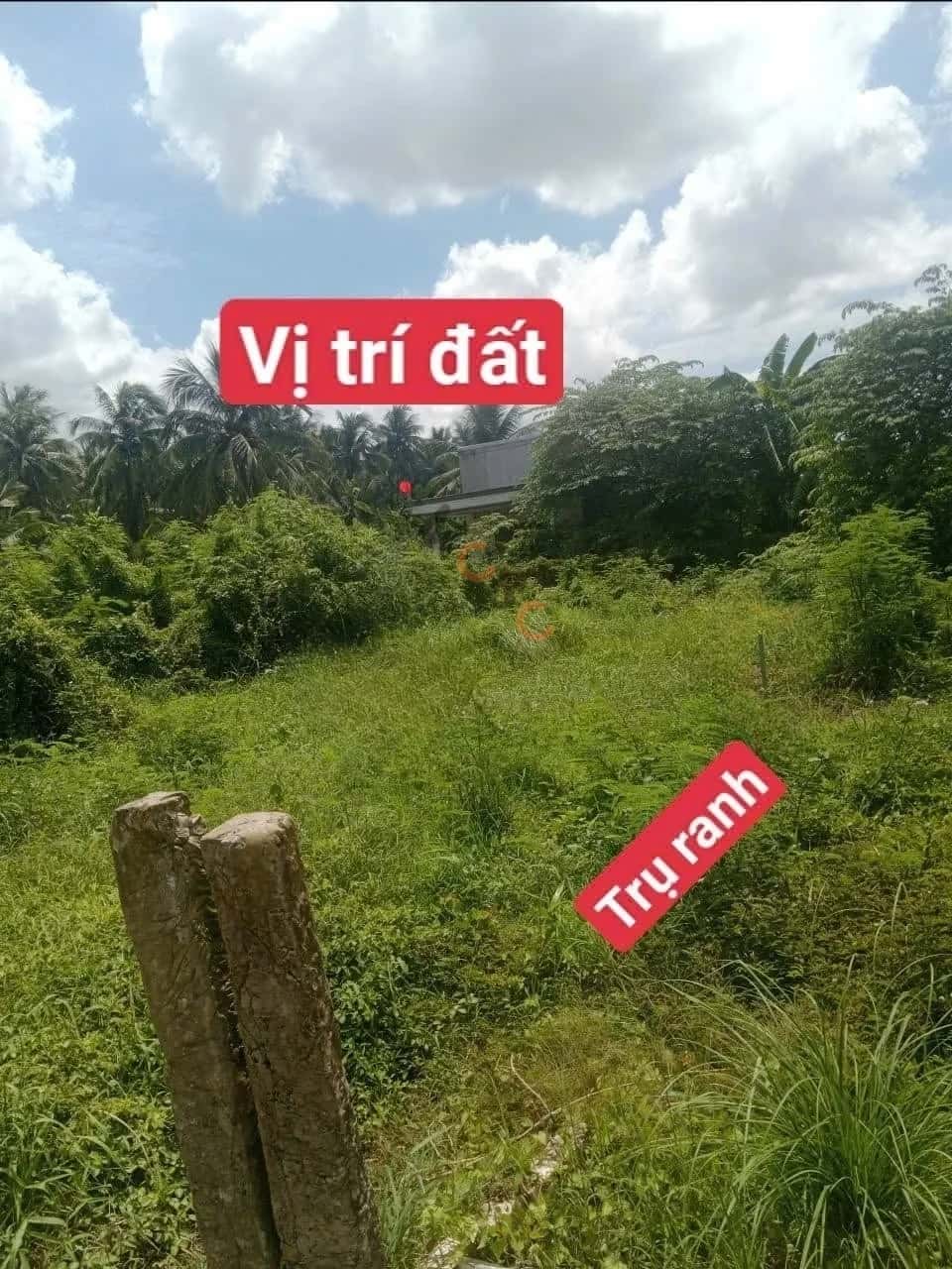 Bán đất Thạnh Khiết Huyện Chợ Gạo, Tiền Giang – giá 225 triệu — Hình 2
