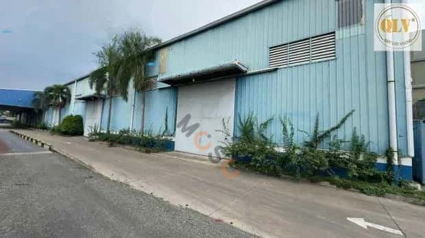 Cho thuê kho, nhà xưởng Tỉnh lộ 868 Châu Thành, Tiền Giang – giá 200.2 triệu — Hình 3