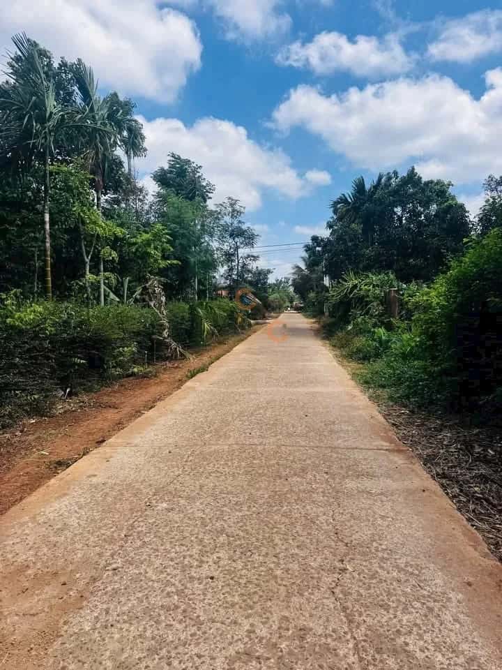 Bán đất Buôn Kroa B Huyện Cư M'gar, Đắk Lắk – giá 930 triệu — Hình 2