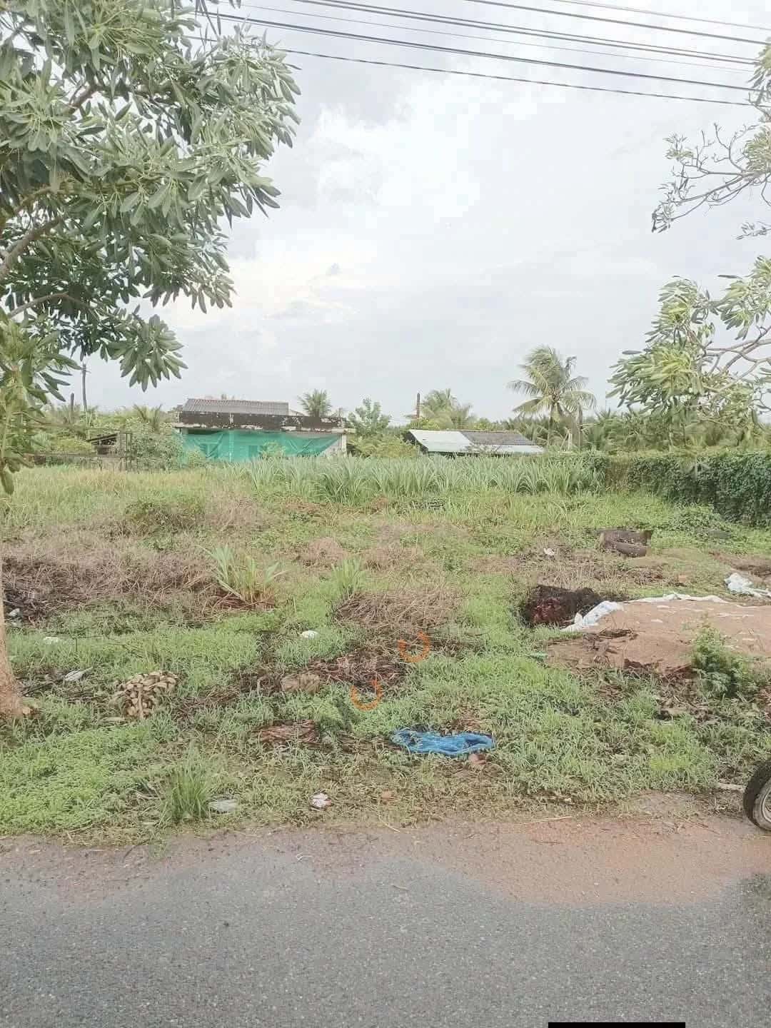 Bán đất  Phạm Văn Ngô Thành phố Tân An, Long An – giá 1.2 tỷ — Hình 2