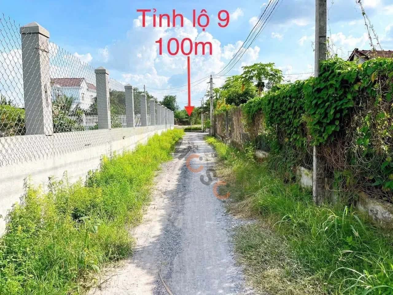 Bán đất đường ĐT 9 Huyện Đức Hòa, Long An – giá 1.2 tỷ — Hình 3