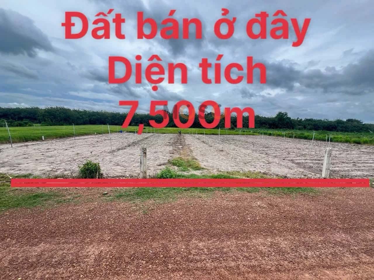 Bán đất đường Suối Dầm 4 Huyện Tân Châu, Tây Ninh – giá 990 triệu — Hình 2