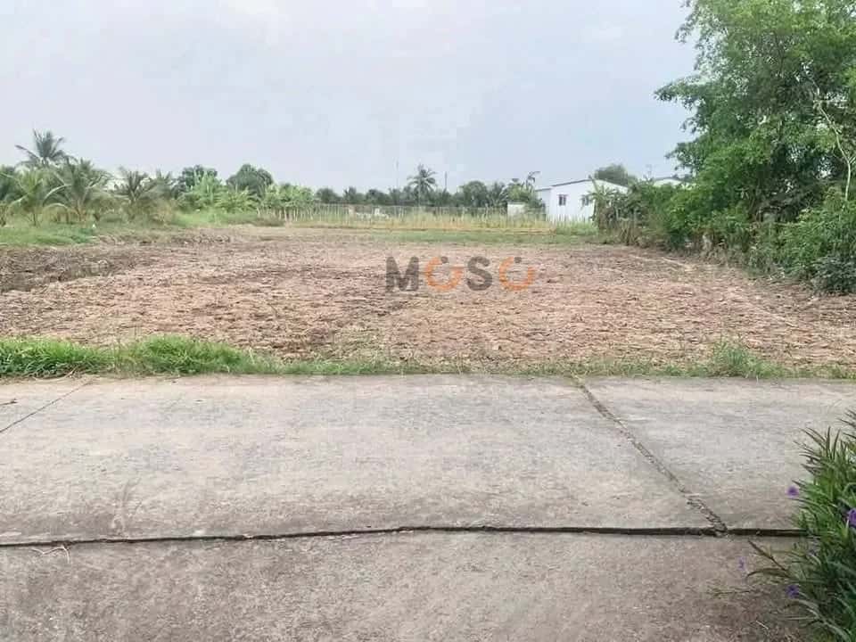 Bán đất  Ấp 3 Huyện Châu Thành, Long An – giá 599 triệu — Hình 2
