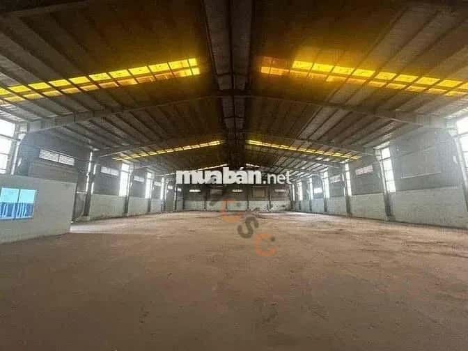 Cho thuê kho, nhà xưởng Huyện Bến Lức, Long An – giá 169 triệu — Hình 3