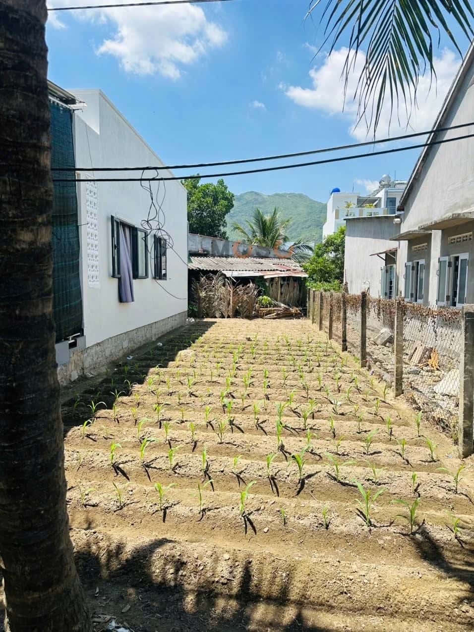 Bán đất Thôn An Ninh Huyện Diên Khánh, Khánh Hòa – giá 1.6 tỷ — Hình 2