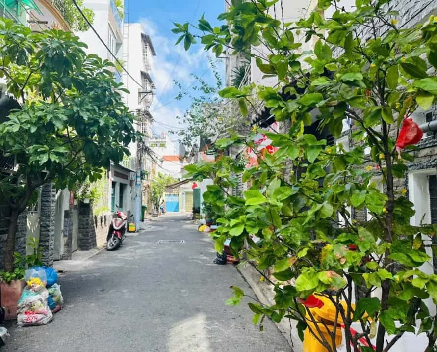 Cho thuê phòng trọ Trần Mai Ninh Tân Bình, TP.HCM – 1 phòng ngủ, giá 4 triệu — Hình 3