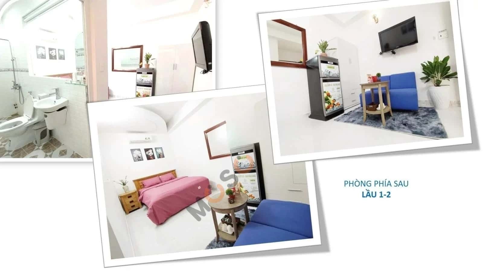 Bán nhà hẻm Cửu Long  Quận Tân Bình, TP.HCM – 1 phòng ngủ, giá 15.5 tỷ — Hình 3