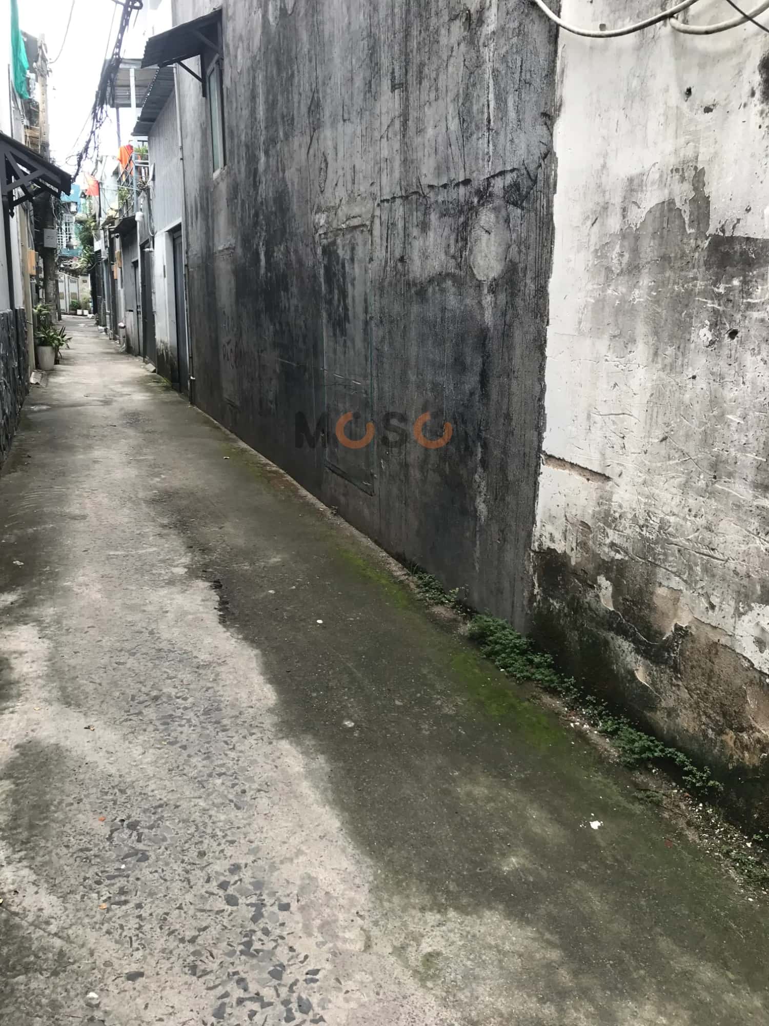 Bán đất 38 Thành phố Thủ Đức, TP.HCM – giá 7.7 tỷ — Hình 3