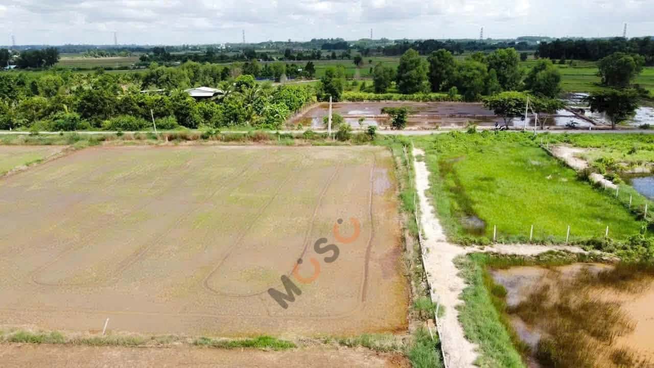 Bán đất Bưng Tràm Huyện Củ Chi, TP.HCM – giá 1.1 tỷ — Hình 2