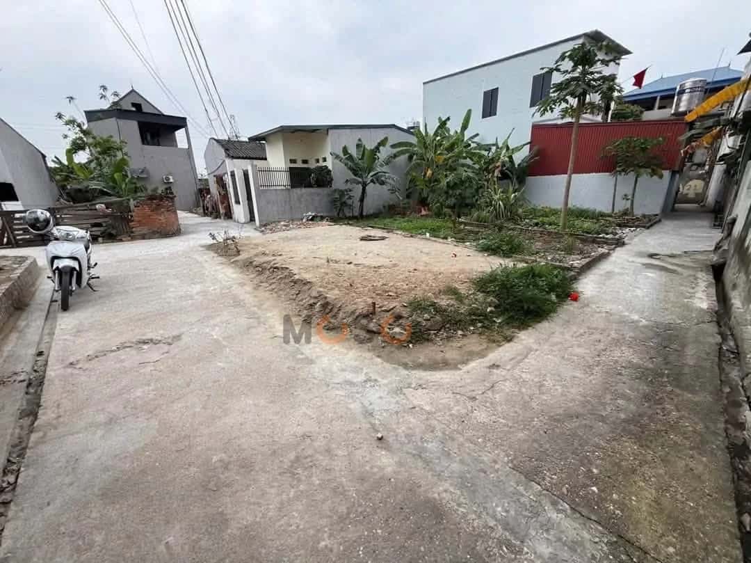 Bán đất Thôn Hoàng Dương Huyện Sóc Sơn, TP. Hà Nội – giá 1.1 tỷ — Hình 2
